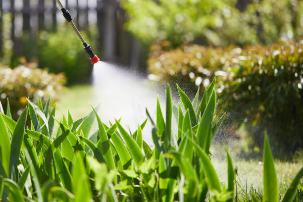 24/7 Emergency Mosquito Control experts in Bellview, FL