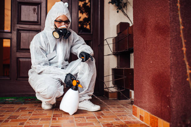 Reliable Mosquito Control contractor in Bellview, FL by Show Me Pest Control