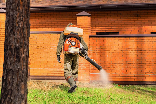 Top rated local Mosquito Control specialists in Bellview, FL